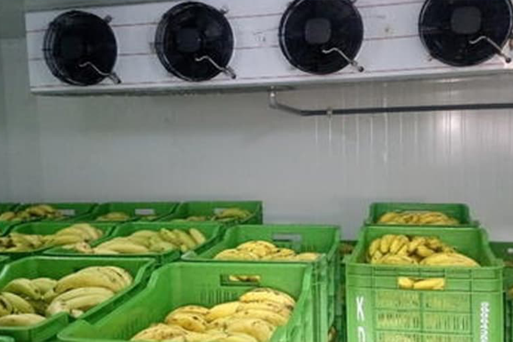 Nova Frigo Soğutma sistemleri